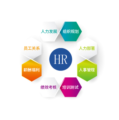 云HR 現代企業人力資源信息咨詢的數字化新篇章